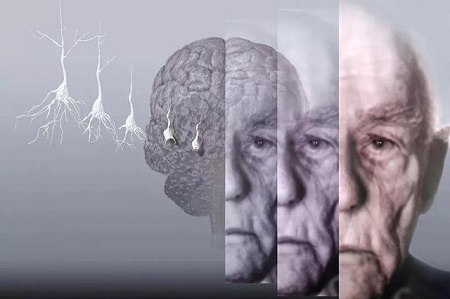 best Hydroxytyrosol - ZHENYIBIO best Hydroxytyrosol - ZHENYIBIO