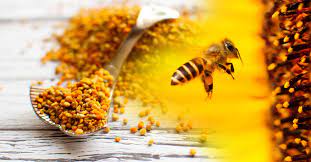 Composition of Propolis 