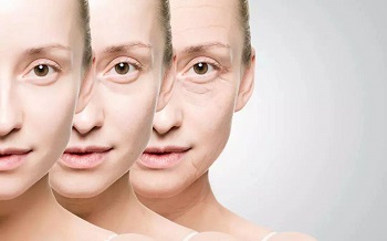 Honokiol manufacturer -ZHENYIBIO