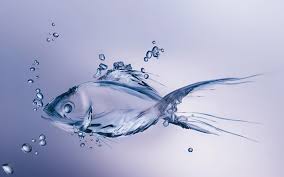 Fish collagen peptide benefits