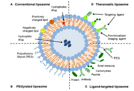 Nanoactive Ceramide - ZHENYIBIO