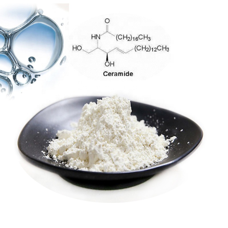 Ceramide and its Physiological roles