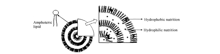 best Liposomes structure-ZHENYIBIO
