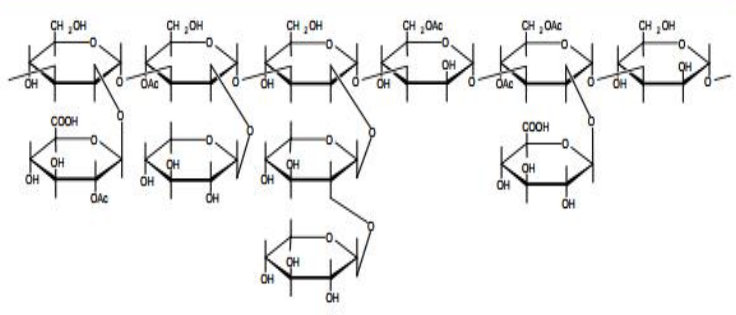 Treme-HA Hyaluronic Acid