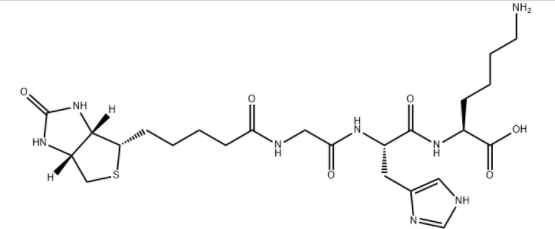 buy Biotinoyl Tripeptide 1 powder-zhenyibio