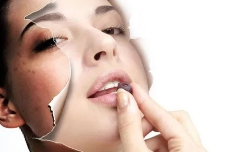 Ellagic Acid-zhenyibio