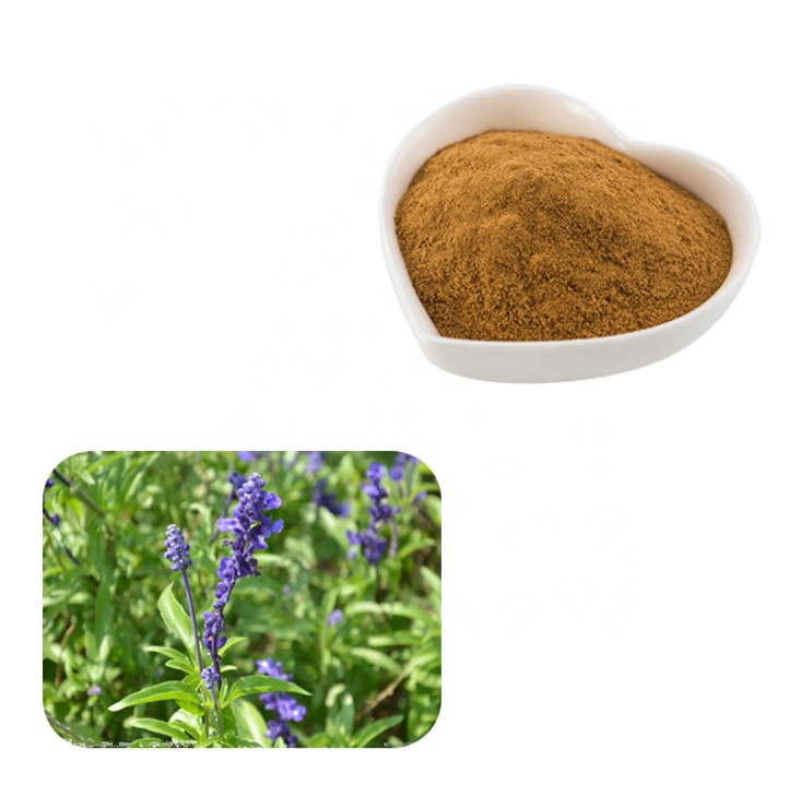 Carnosic acid extraction method and efficacy