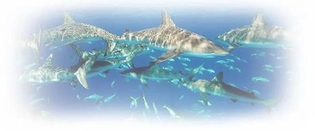 Squalene supplier -ZHENYIBIO