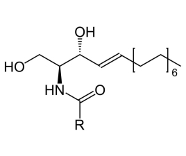 buy rice ceramide 3 powder supplier-zhenyibio