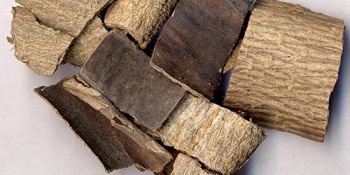 chlorogenic acid for sale -ZHENYIBIO