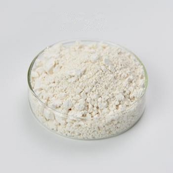 What does phloretin do for skin?