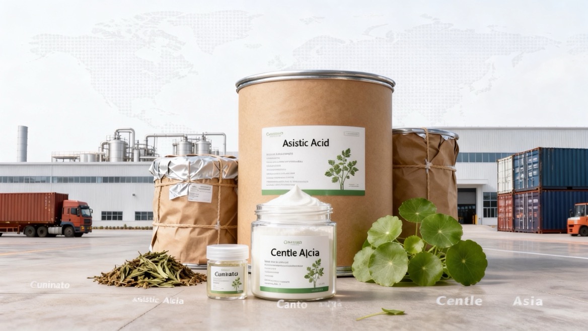 Global Asiatic Acid Cosmetic Supply Chain