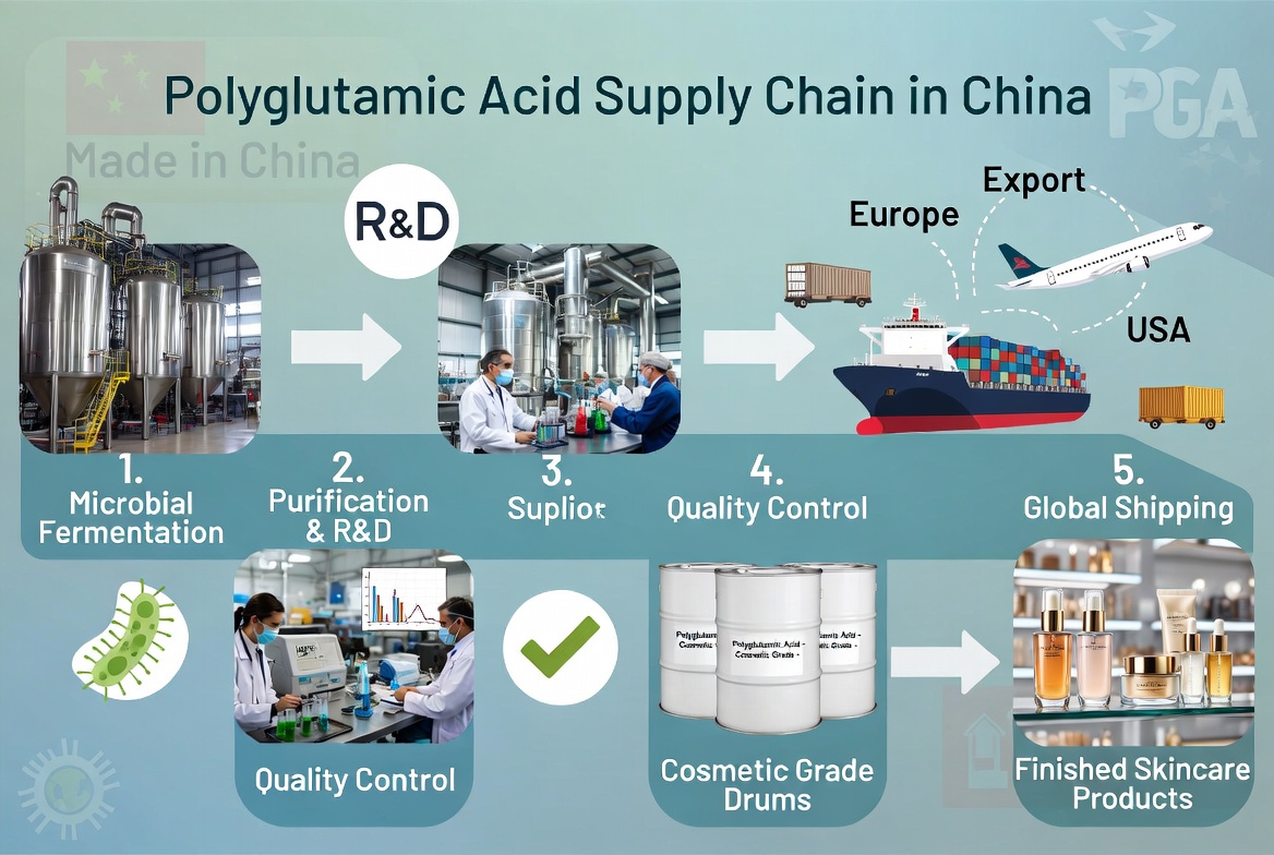 Polyglutamic Acid China Supply Chain.jpg