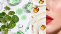 //imrorwxhiknilp5q.ldycdn.com/cloud/poBpjKqlllSRmlmkmprmim/Asiaticoside-And-Vitamin-K-Ingredient-Comparison.jpg