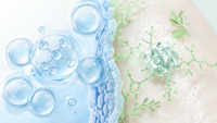 //imrorwxhiknilp5q.ldycdn.com/cloud/ppBpjKqlllSRmllnqojoip/Ectoin-And-Asiaticoside-Molecular-Skincare-Comparison.jpg