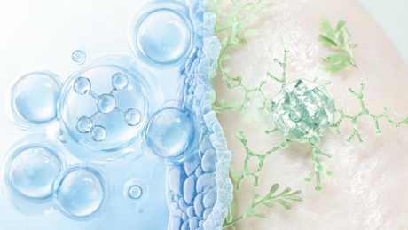 Ectoin And Asiaticoside Molecular Skincare Comparison.jpg