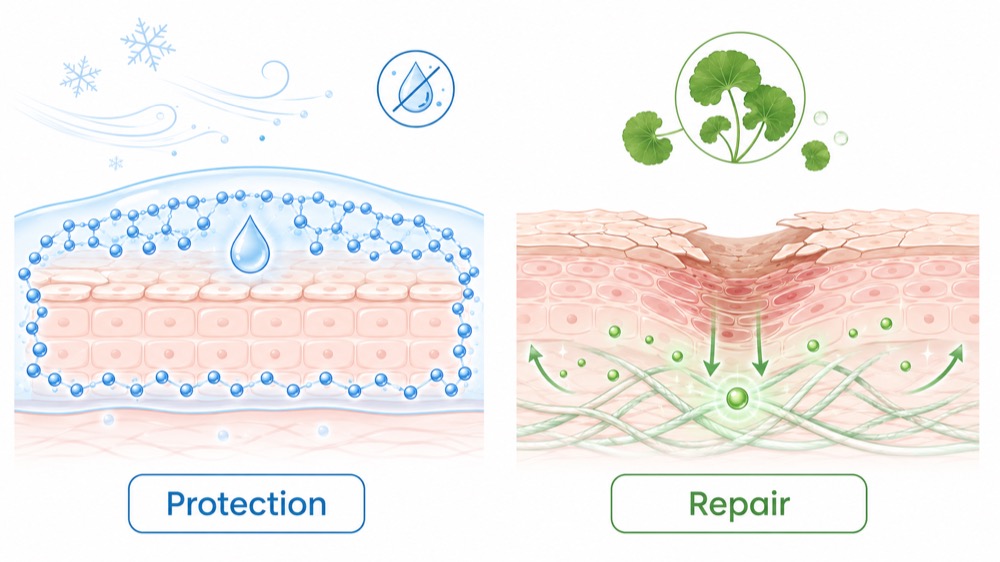 Ectoin vs. Asiaticoside: Comparative Analysis for Formulating Skincare in Extreme Cold and Low-Humidity Conditions
